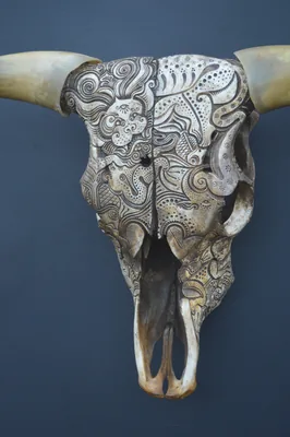 Ochre Bull