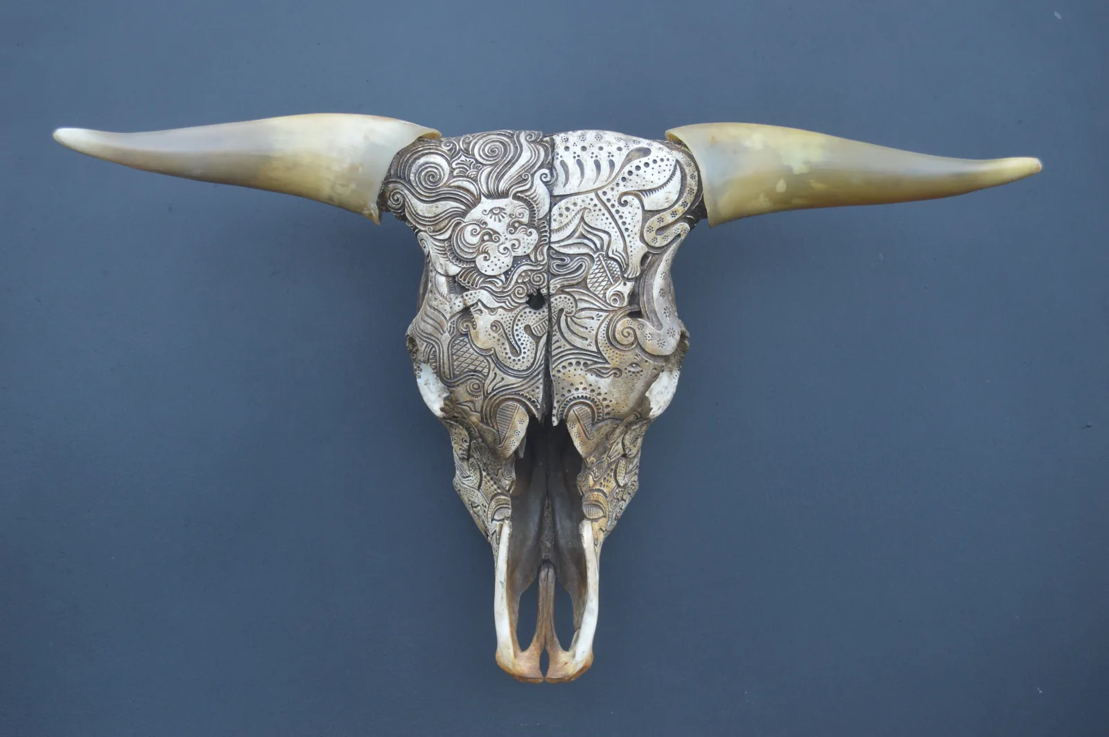 Ochre Bull
