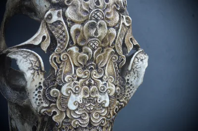 Elk Cow (bat)