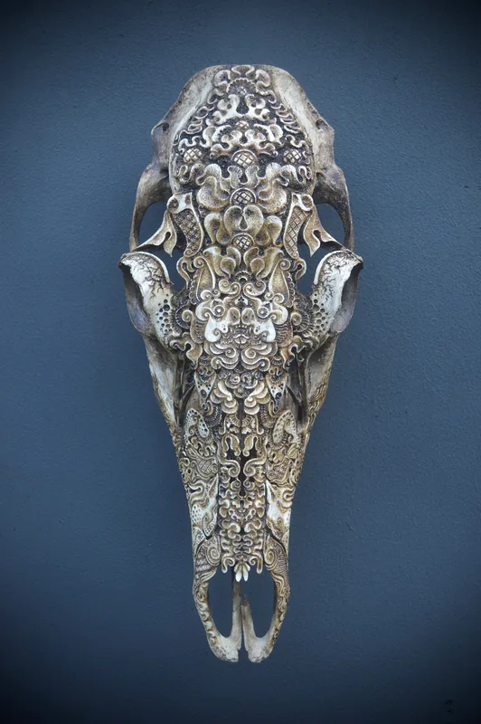 Elk Cow (bat)