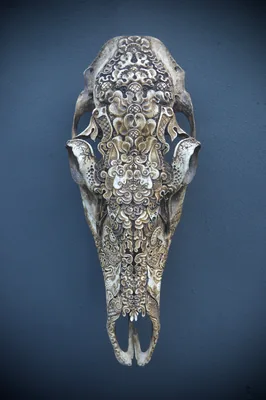 Elk Cow (bat)