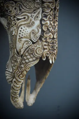 Elk Cow (bat)