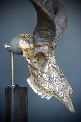 Untitled (kudu)