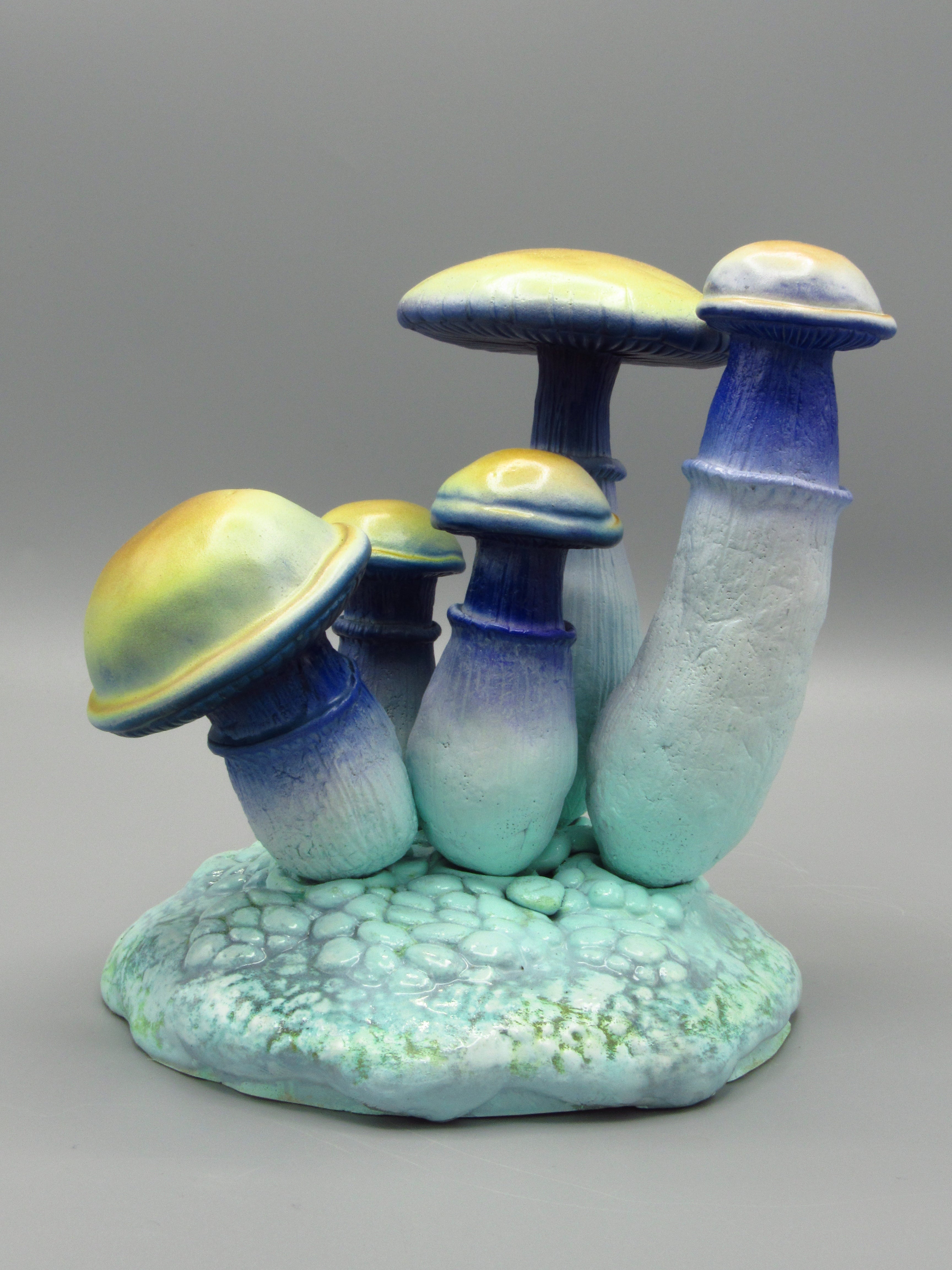 Stellar Mycelia