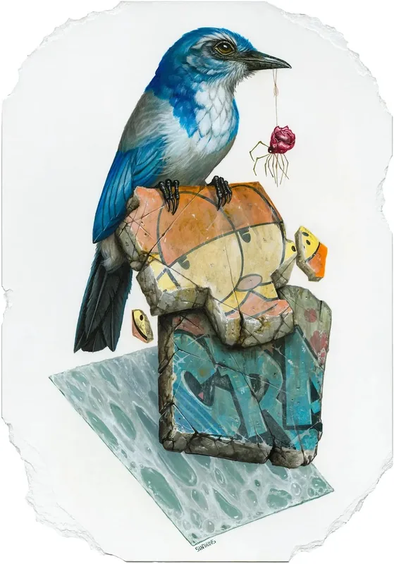 Beaks