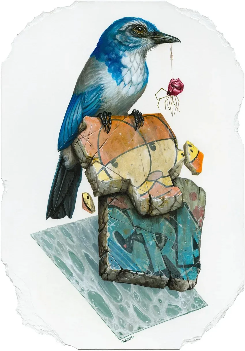 Beaks