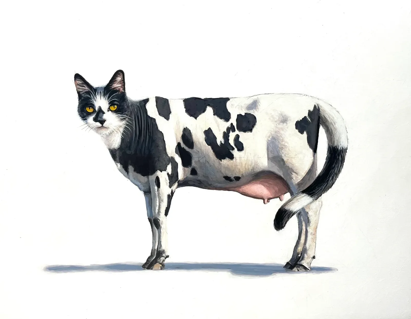Kittycow