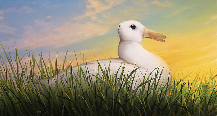 Rabbit Duck